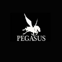 (c) Pegasusandco.wordpress.com
